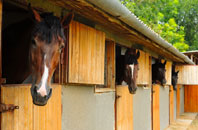 free Mortehoe stable construction quotes